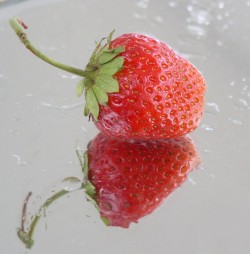 great food for teeth